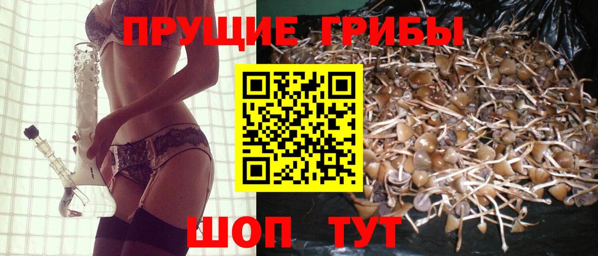 Псилоцибиновые грибы Psilocybe  Вход с VPN  Галлюциногенные грибы GOLDEN TEACHER  Белебей 